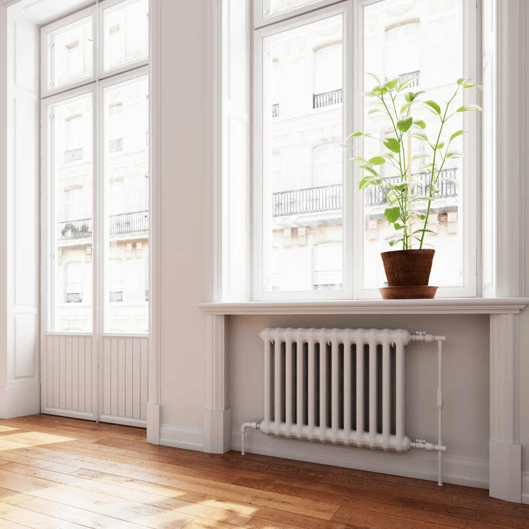 Heller Raum mit Altbauflair, weißer Heizung, großem Fenster und Zimmerpflanze, renoviert im Herzen Münchens.